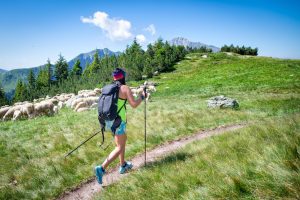 August TMB trail