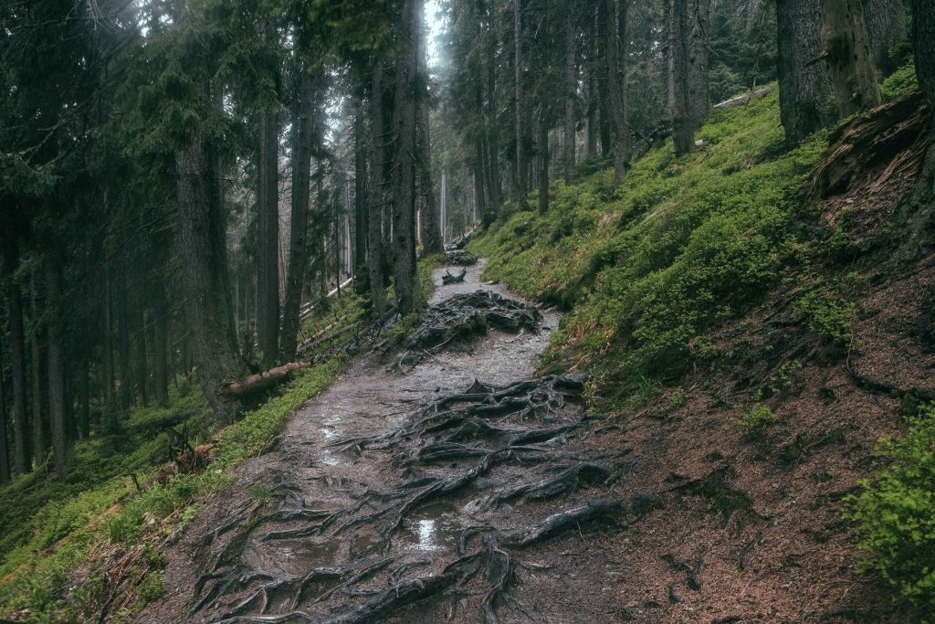 TMB 2023 conditions rainy trail up to Bovine