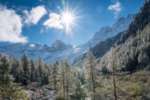 Trient valley snowy views of the forest and mountain peaks in the Swiss Alps