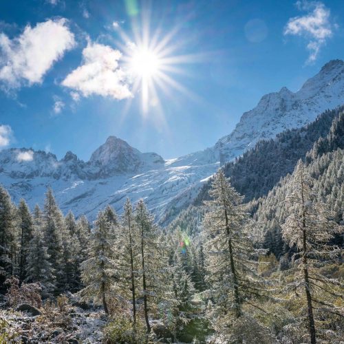 Trient valley snowy views of the forest and mountain peaks in the Swiss Alps