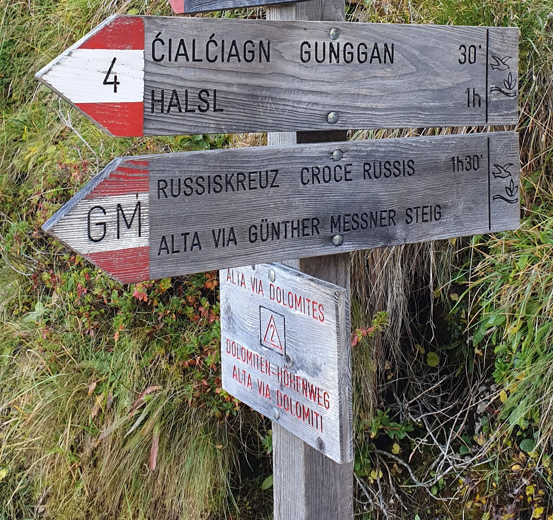 Wooden Alta Via 2 trekking sign on Furcella Putia path, with other Dolomites trails. Grassy meadow background.
