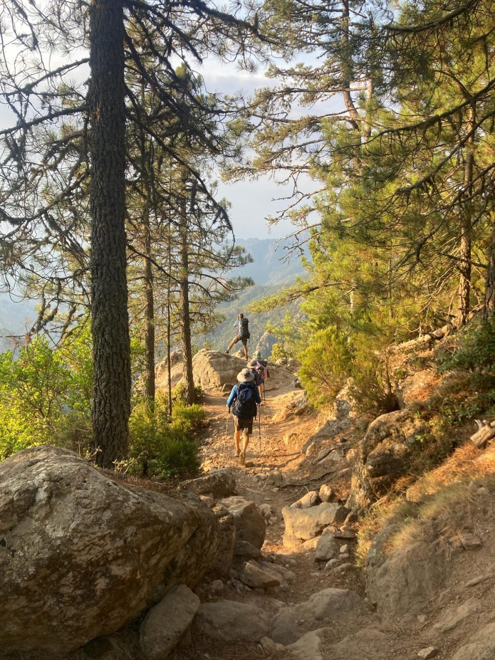 GR20 sunset hiker hiker in the forest at sunset