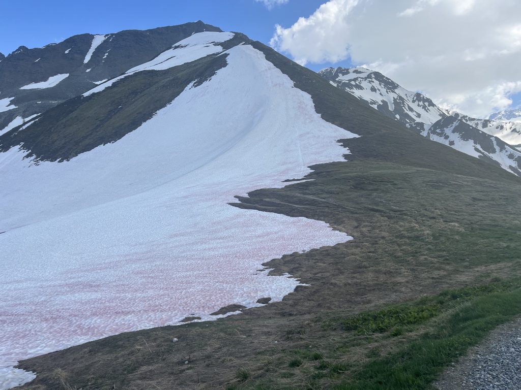Tour du Mont Blanc Conditions 2026
