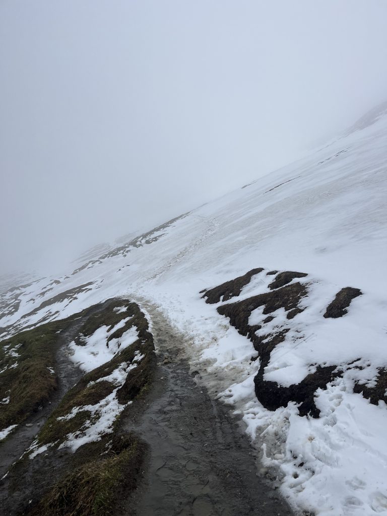 TMB conditions May 26