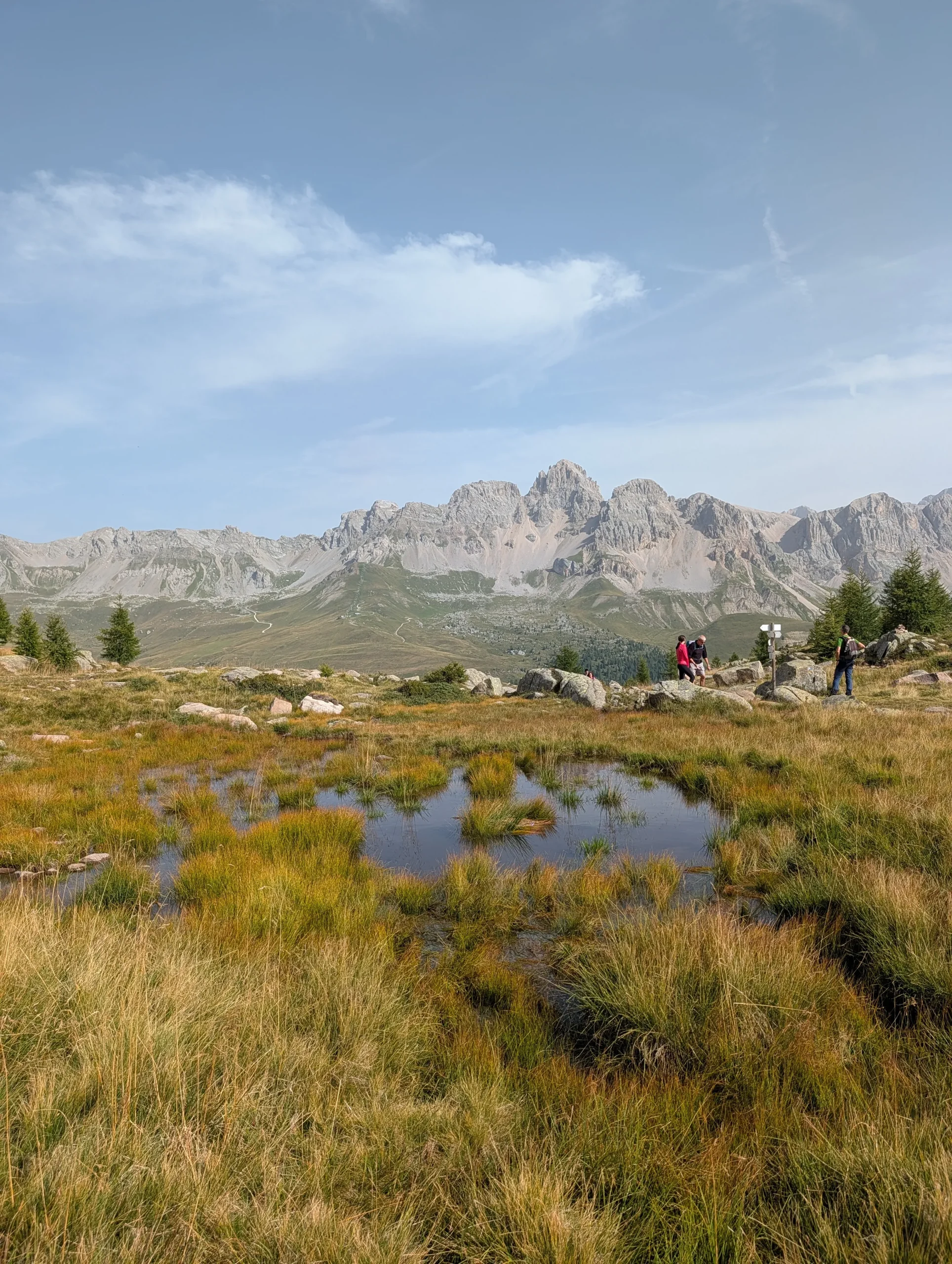 Hikers by Alpine marshes on the Alta Via 2 trek surrounded by the peaks above Passo San Pellegrino in the Dolomites